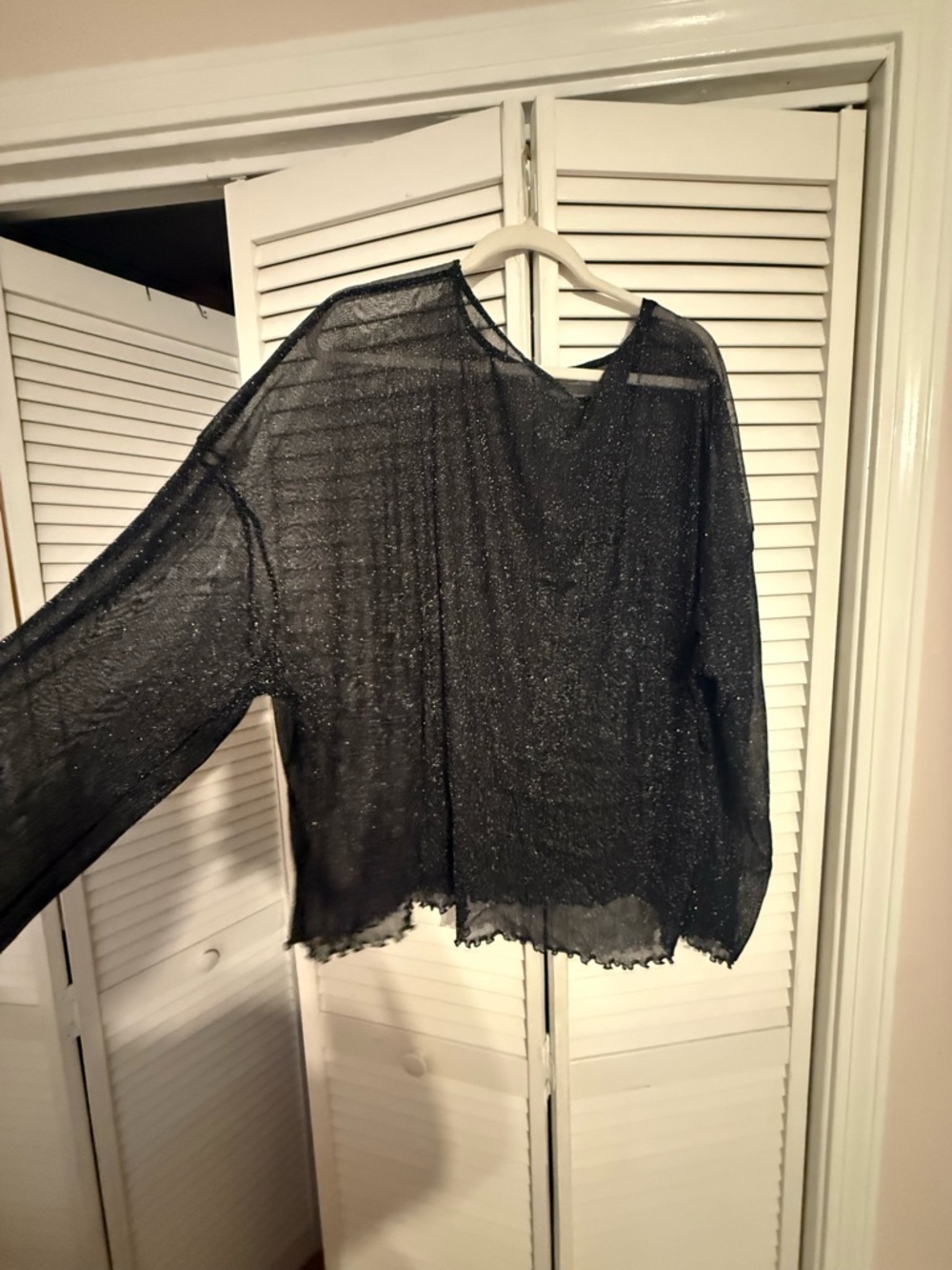Sheer Sparkle Black Long Sleeve Top